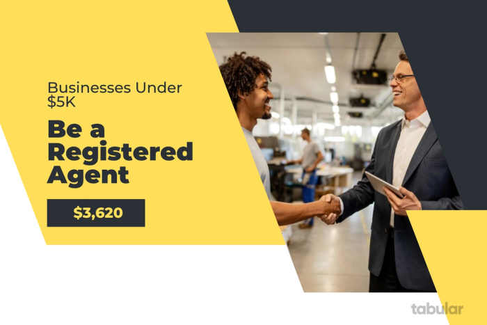 Business under 5k - registered agent.